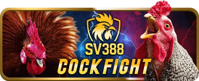 Bàn chơi casino trực tuyến với dealer người thật tại uuu88 login